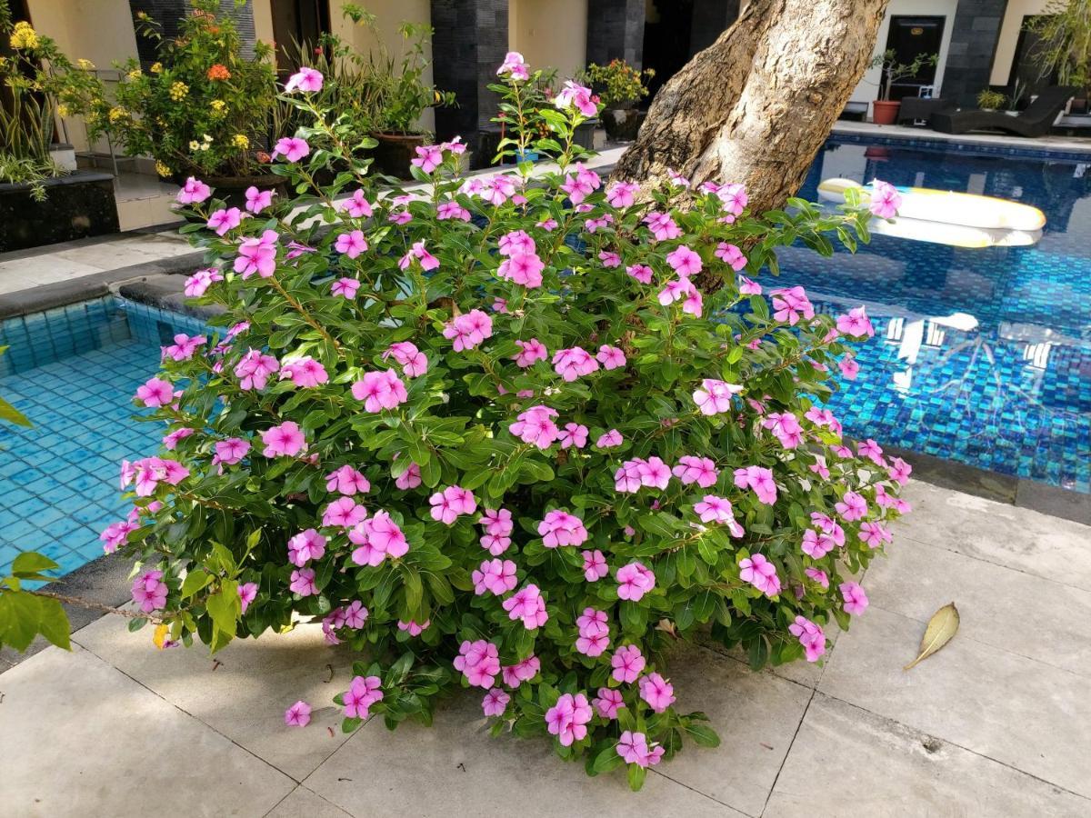 Hotel Radha Bali Kuta Lombok