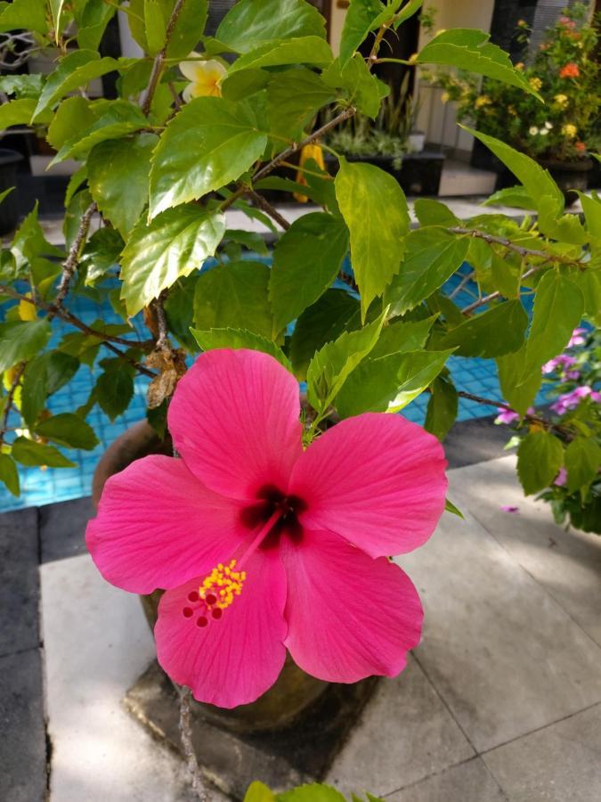 Hotel Radha Bali Kuta Lombok