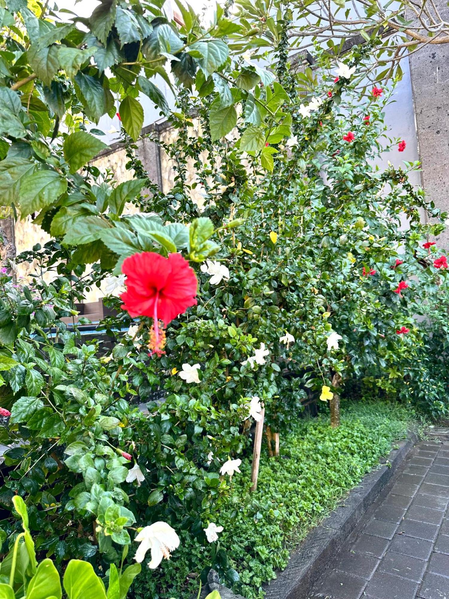 Hotel Radha Bali 2*